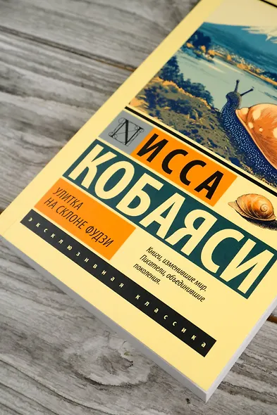 Улитка на склоне Фудзи - фото 6