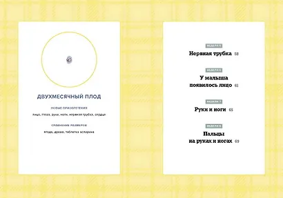 Мы беременны! Пошаговый план действий для будущего отца - фото 5