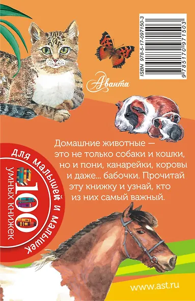 Домашние животные - фото 2