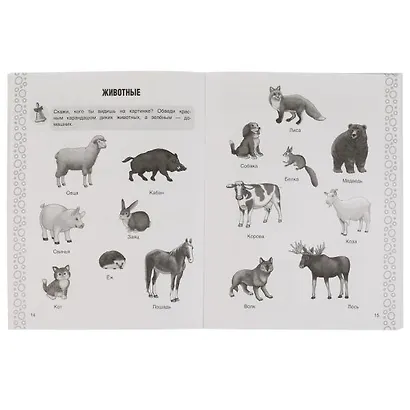 Рабочая тетрадь для детского сада. Окружающий мир. Средняя группа. 4+ - фото 3