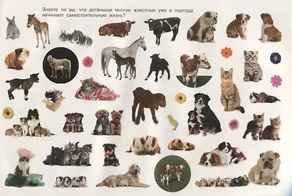 Мамы и малыши - фото 4