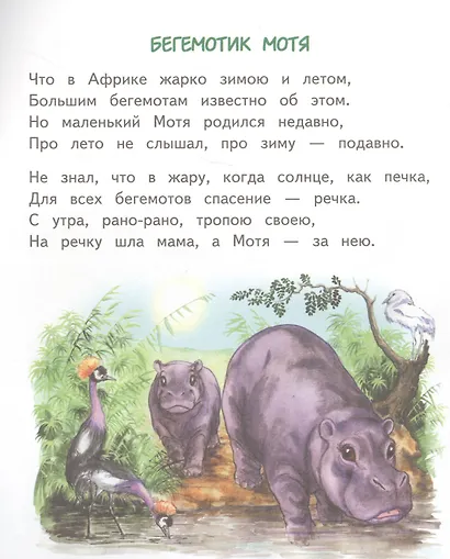 Слонёнок Санни - фото 5