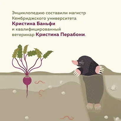 Что внутри? Как устроены дома животных - фото 7