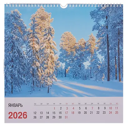 Календарь 2026г 320*320 "Природа" настенный, на спирали - фото 3