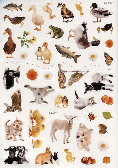 Мир животных. Фотонаклейки - фото 4