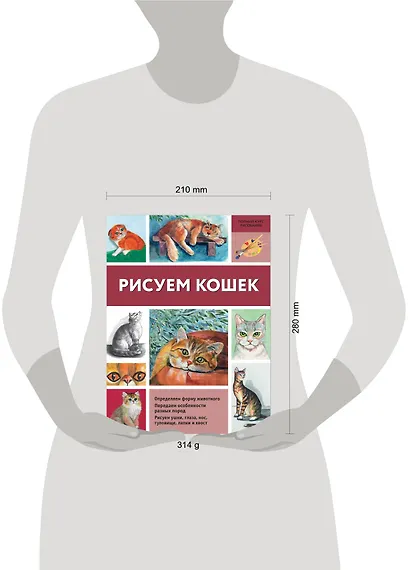 Рисуем кошек - фото 3