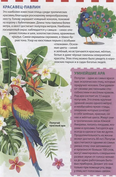 Экзотические птицы - фото 3