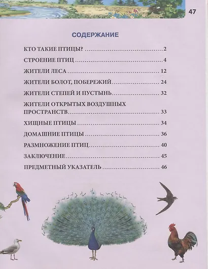 Птицы. Энциклопедия - фото 2