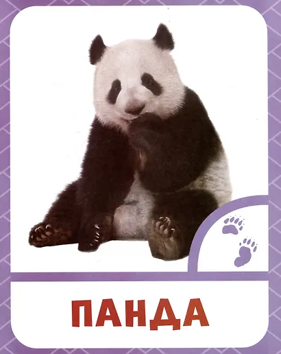 Животные жарких стран - фото 4