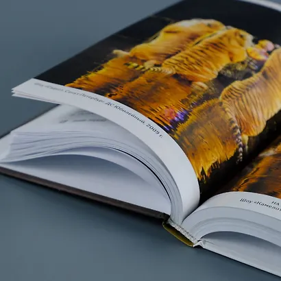 Понять хищника - фото 9