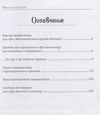 Мысли о смысле. Опыт синхронизации в пространстве и времени - фото 2