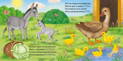 Мамы и малыши. Домашние животные. Загадки - рифмы - фото 5