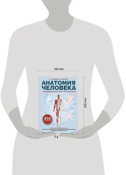 Анатомия человека. Опорно-двигательный аппарат, внутренние органы - фото 4