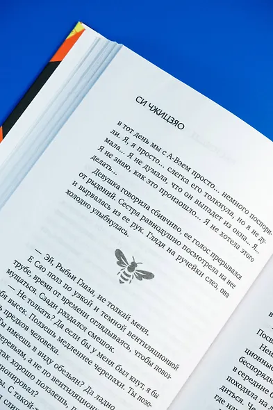 Настоящее пробуждение. Real Awakening. Книга 3 - фото 15