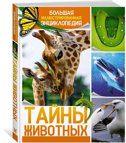 Тайны животных. Большая иллюстрированная энциклопедия - фото 3