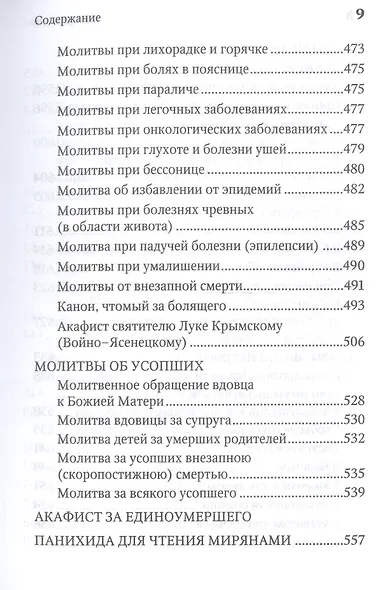 Молитвенная защита православного христианина. Молитвы на всякую потребу ко Господу Иисусу Христу, Его Пречистой Матери... - фото 8