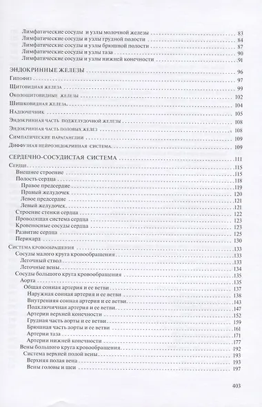 Анатомия человека для педиатров. Учебник. В двух томах (комплект из 2 книг) - фото 7