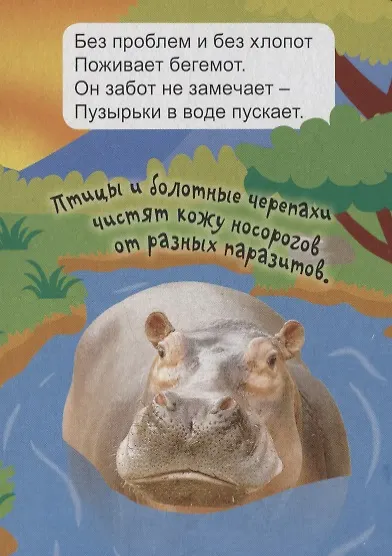 Экзотические животные - фото 3