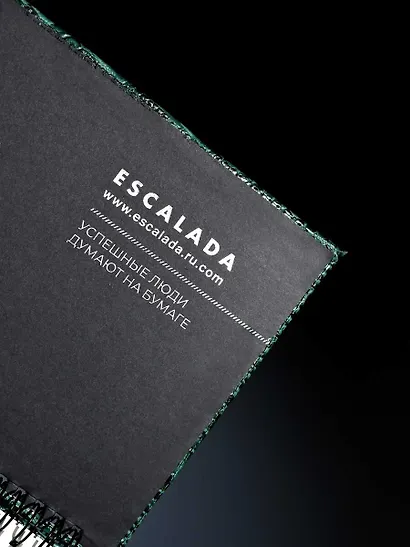 Планинг недат. 64л 390*180 "Аллигатор" зеленый, кожзам, тв.переплет, обл.поролон, офсет, настольный, откр.евроспираль, справ.мат-лы, ПВХ уп - фото 8