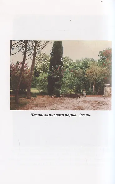 Исповедь разведчика. Дорога домой - фото 4