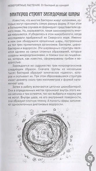 Невероятные растения. От бактерий до орхидей - фото 12