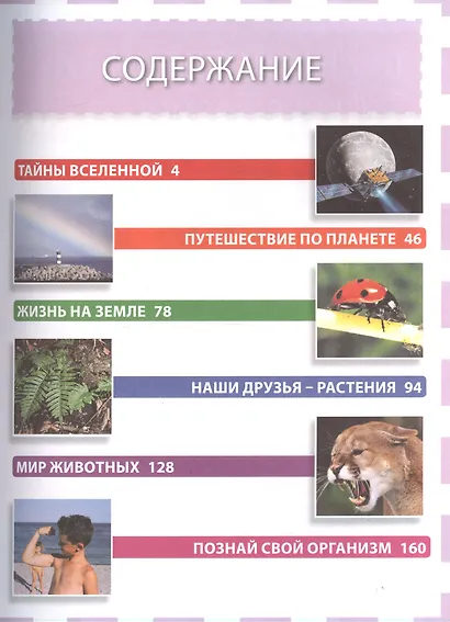 Лучшая энциклопедия для умных мальчиков и любознательных девочек - фото 2