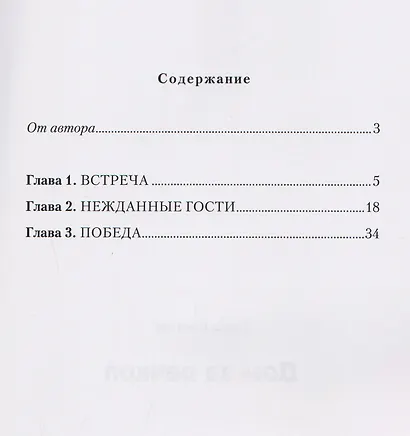 Дом за речкой - фото 2