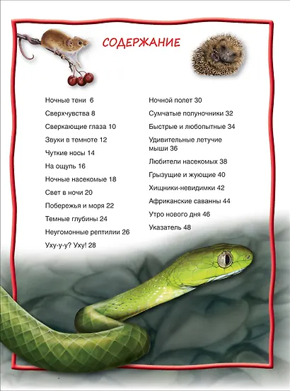 Ночные животные - фото 4