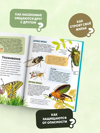 Насекомые - фото 6