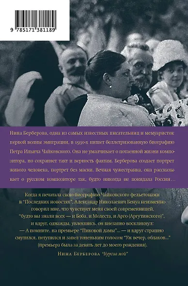 Чайковский. История одинокой жизни - фото 2