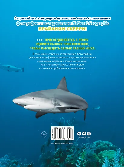 Невероятные акулы - фото 2