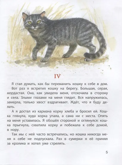 Обыкновенные кошки. Рассказы русских писателей - фото 6