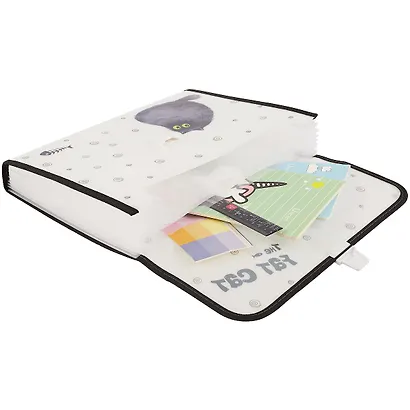 Портфель «Fat cat», А4, 12 отделением - фото 2