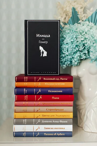 Илиада - фото 9