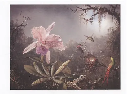 Мартин Джонсон Хид. Цветы (набор открыток) - фото 2