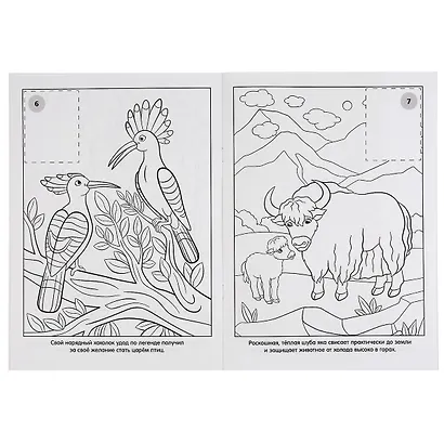 Раскраска. 16 цветных наклеек. Наклей и раскрась. Дикие животные - фото 2