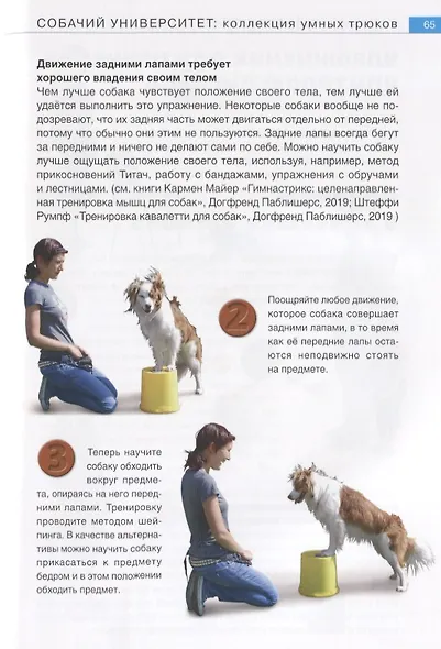 Собачий университет. Коллекция умных трюков - фото 5