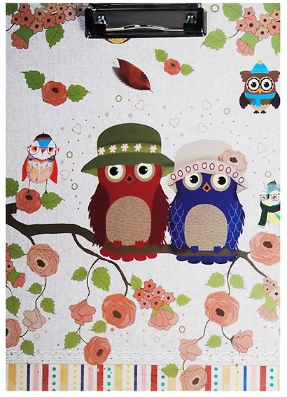 Планшет «Owls», А5, картон, в ассортименте - фото 1
