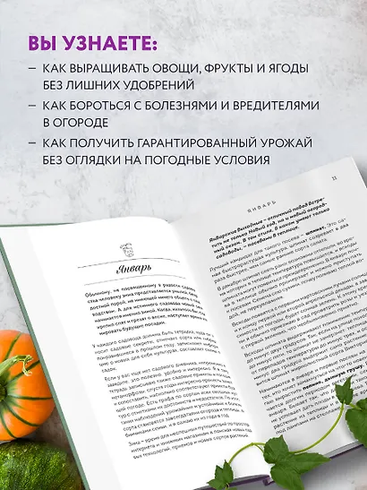 Не просто огород. Как получить южный урожай на севере - фото 6
