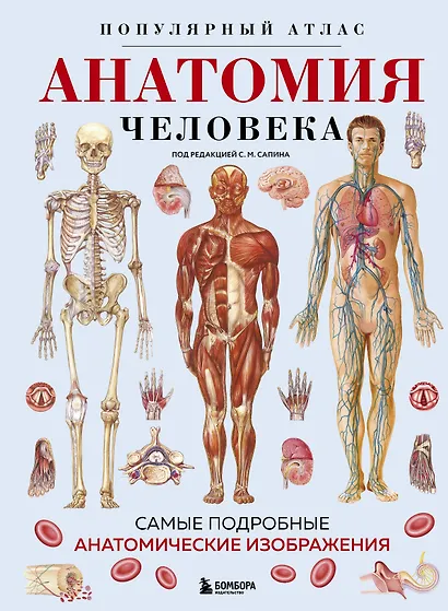 Анатомия человека. Популярный атлас. Самые подробные анатомические изображения - фото 1