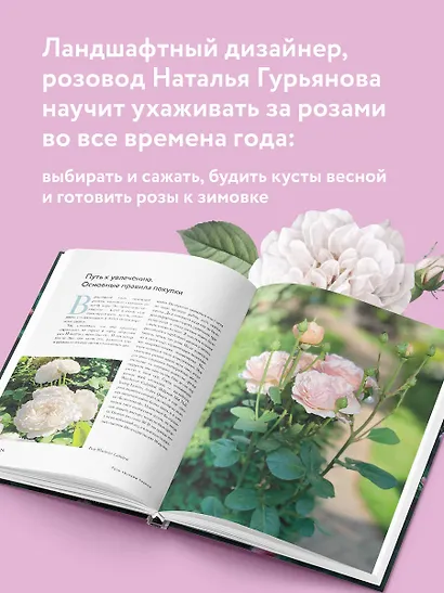 Розы в саду. Практический курс начинающего розовода - фото 5