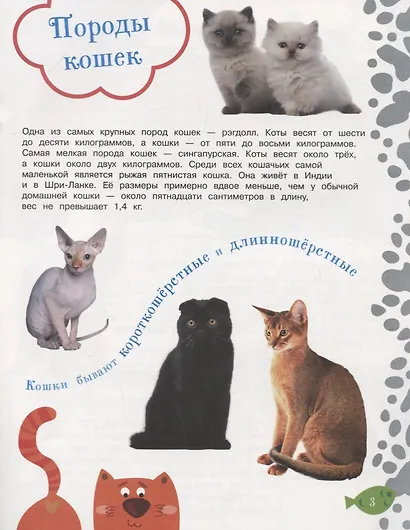 Как воспитать котенка + наклейки внутри - фото 3