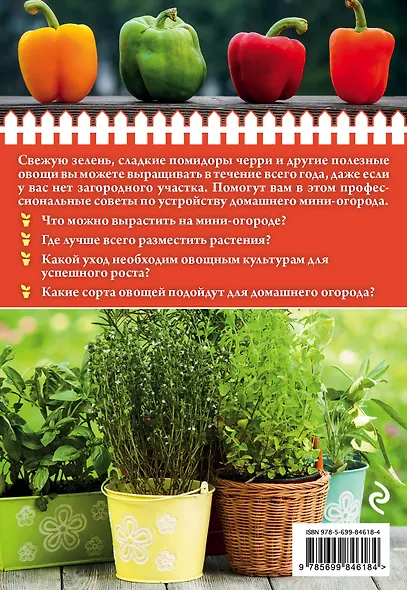 Огород на подоконнике - фото 2