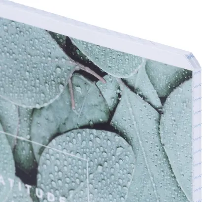 Тетрадь в клетку Be Smart, "Botanica. Эвкалипт", 48 листов - фото 3