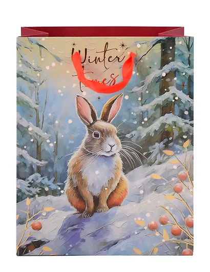 Пакет А5 23*18*10 "Зайка. Winter times" НГ, бум.мат.ламинат - фото 4