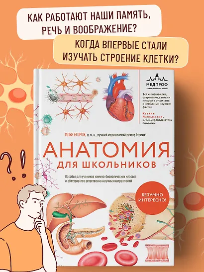 Анатомия для школьников. Пособие для учеников химико-биологических классов и абитуриентов естественно-научных направлений - фото 4
