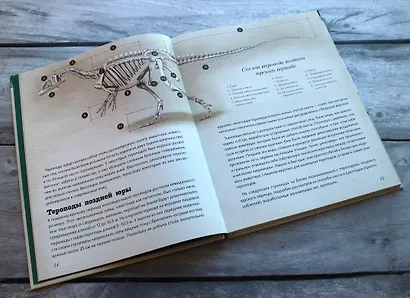 Юрский период. Динозавры и другие доисторические животные - фото 4