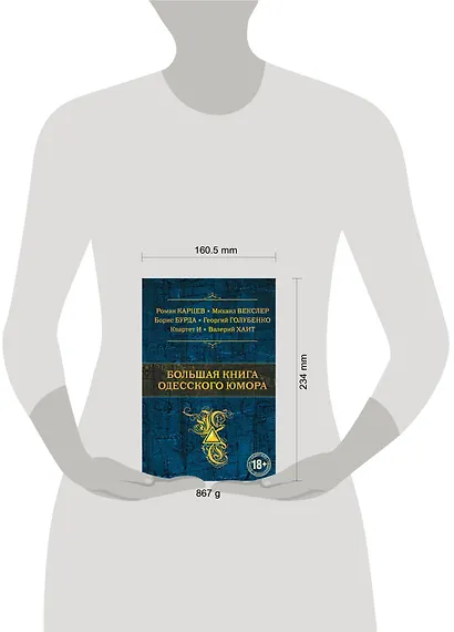 Большая книга одесского юмора - фото 4