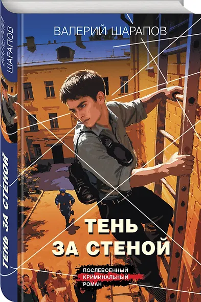 Тень за стеной - фото 3