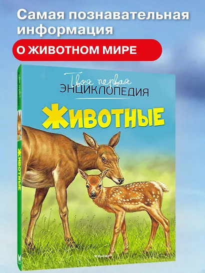 Животные - фото 4